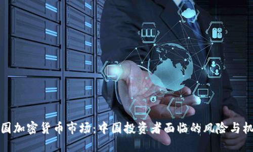 美国加密货币市场：中国投资者面临的风险与机遇