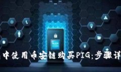 如何在TP钱包中使用币安链购买PIG：步