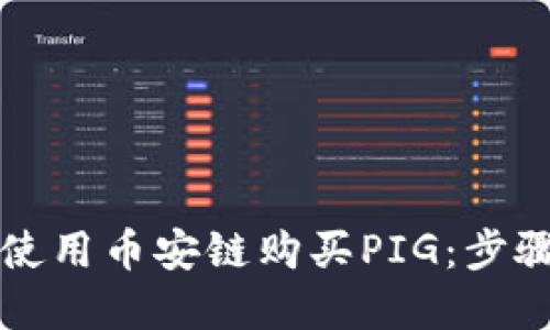 如何在TP钱包中使用币安链购买PIG：步骤详解与技巧分享