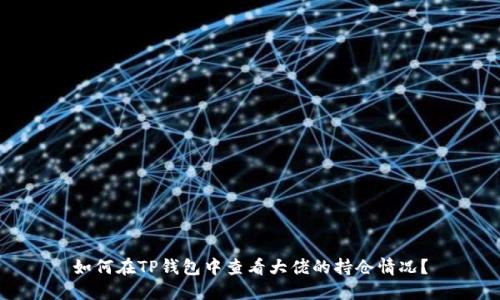 如何在TP钱包中查看大佬的持仓情况？