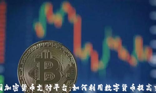 
探索德国加密货币支付平台：如何利用数字货币提高交易效率