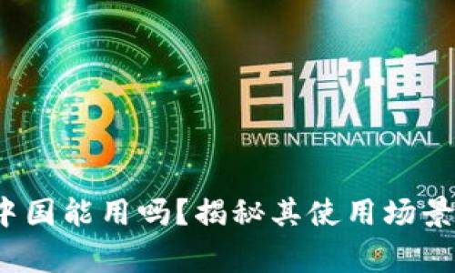 t p钱包在中国能用吗？揭秘其使用场景与注意事项