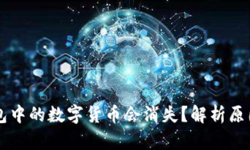 为什么TP钱包中的数字货币会消失？解析原因与解决方案