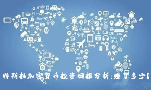 特斯拉加密货币投资回报分析：赚了多少？