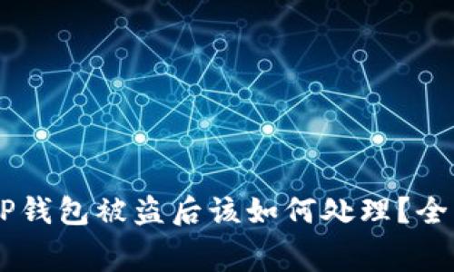 strong/strong TP钱包被盗后该如何处理？全面指南与报警步骤