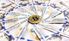 TP-Link 英文官网是用户获取最新技术信