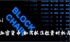 bizhi/bizhi观察期的加密货币：如何抓住