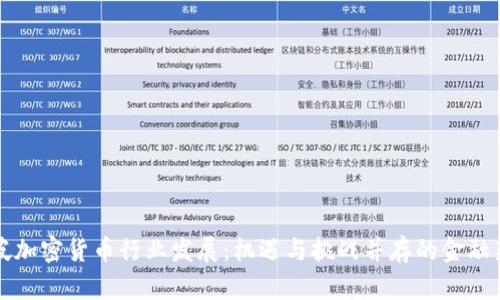 新加坡加密货币行业发展：机遇与挑战并存的金融新前沿