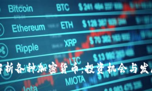 全面解析各种加密货币：投资机会与发展前景