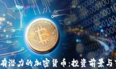 2023年有潜力的加密货币：投资前景与