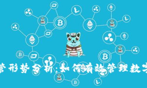 加密货币监管形势分析：如何有效管理数字资产的未来