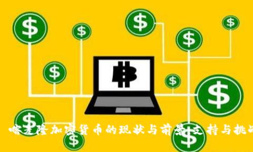   喀麦隆加密货币的现状与前景：支持与挑战