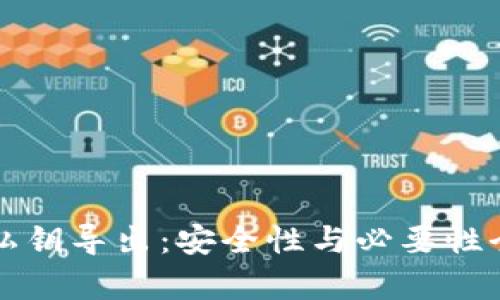 tP钱包私钥导出：安全性与必要性全面解析