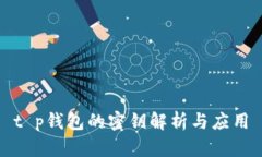 t p钱包的密钥解析与应用