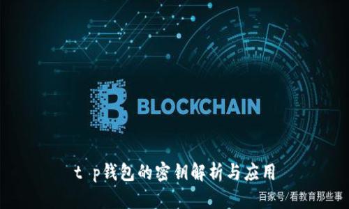 t p钱包的密钥解析与应用