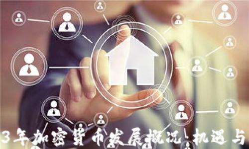 
2023年加密货币发展概况：机遇与挑战