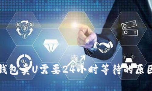 : TP钱包卖U需要24小时等待的原因解析