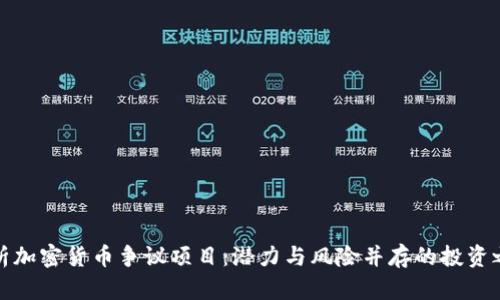 解析加密货币争议项目：潜力与风险并存的投资之路