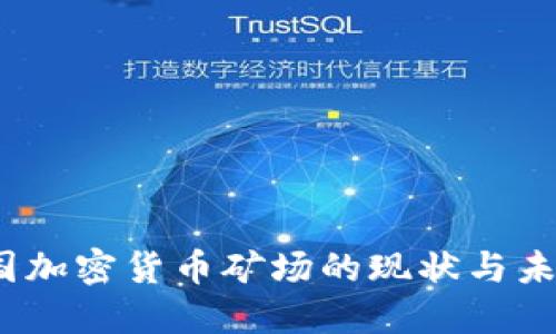 2023年中国加密货币矿场的现状与未来发展趋势