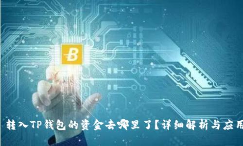  转入TP钱包的资金去哪里了？详细解析与应用