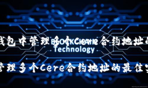 如何在TP钱包中管理多个Cere合约地址的最佳实践

TP钱包中管理多个Cere合约地址的最佳实践