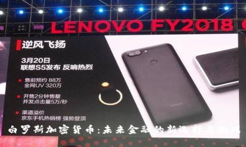 白罗斯加密货币：未来金融的新选择与挑战