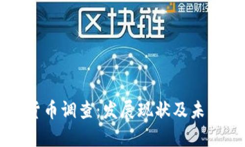 南非加密货币调查：发展现状及未来趋势分析