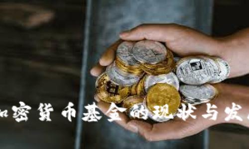 中国加密货币基金的现状与发展分析