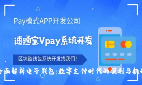 全面解析电子钱包：数字支付时代的便利与挑战