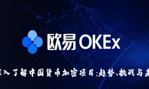  深入了解中国货币加密项目：趋势、挑战与未来