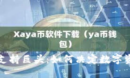 加密货币支持巨头：如何决定数字资产的未来