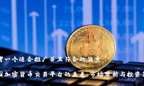 思考一个适合推广并且符合的优秀

中国加密货币交易平台的未来：市场分析与投资策略