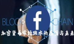 美国加密货币市场跳水的原因与未来展