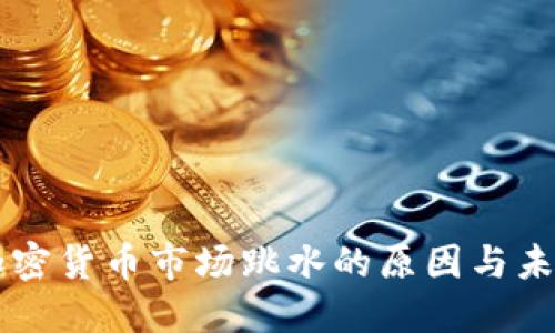 美国加密货币市场跳水的原因与未来展望