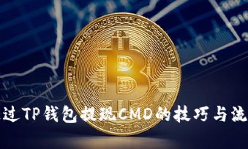 如何通过TP钱包提现CMD的技巧与流程解析