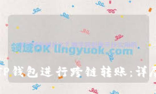 如何使用TP钱包进行跨链转账：详尽视频教程