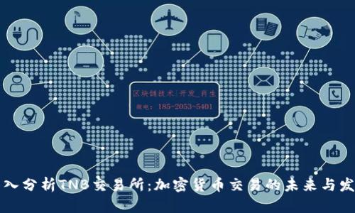 深入分析TNB交易所：加密货币交易的未来与发展