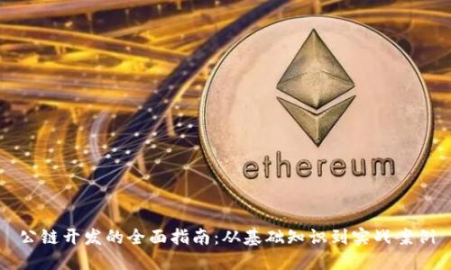 公链开发的全面指南：从基础知识到实战案例