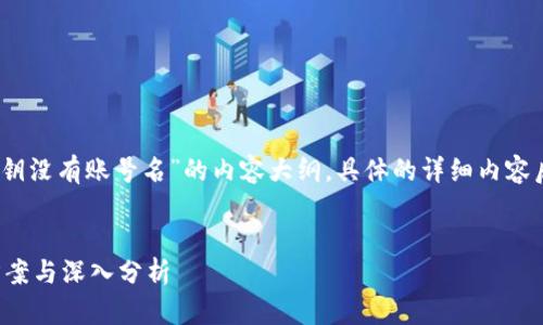 注意：以下是一个关于“TP钱包公钥没有账号名”的内容大纲，具体的详细内容后续可以依照这个大纲进行扩展。


TP钱包公钥没有账号名的解决方案与深入分析