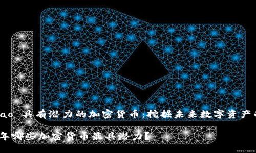 hao/hao 具有潜力的加密货币：挖掘未来数字资产的机会

2023年哪些加密货币最具潜力？