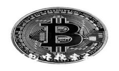 : 如何在TP钱包中搜索和管理数字货币