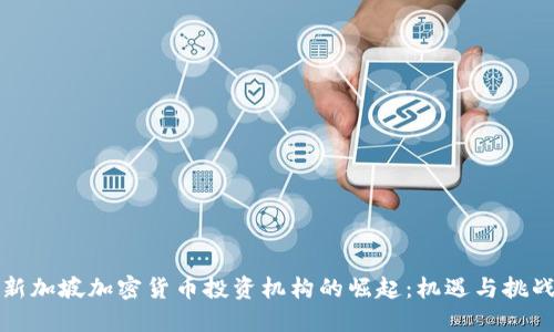 新加坡加密货币投资机构的崛起：机遇与挑战