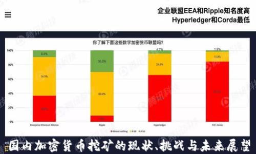 
国内加密货币挖矿的现状、挑战与未来展望