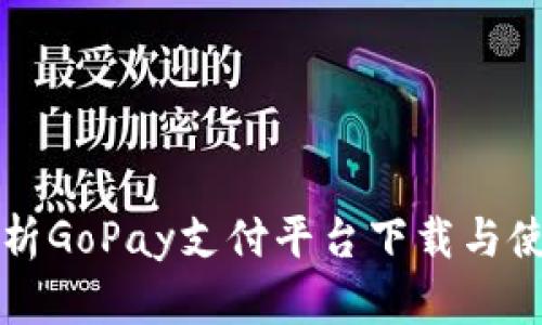 全面解析GoPay支付平台下载与使用指南