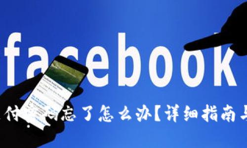  TP钱包支付密码忘了怎么办？详细指南与解决方案