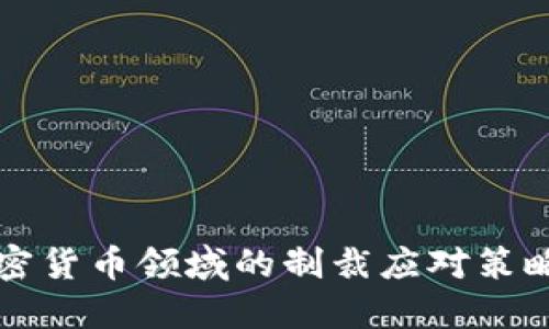 俄罗斯在加密货币领域的制裁应对策略与未来展望