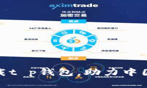  全面解析：如何安全下载t p钱包，助力中国用户高效管理数字资产