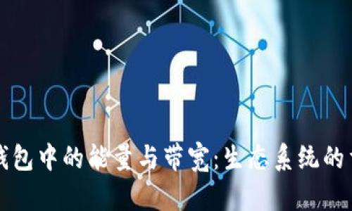 深入探讨TP钱包中的能量与带宽：生态系统的重要组成部分