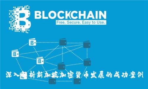 深入解析新加坡加密货币发展的成功案例