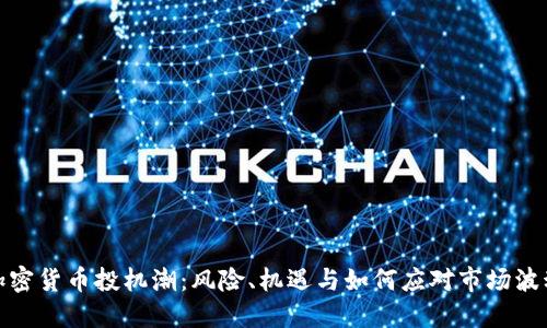 加密货币投机潮：风险、机遇与如何应对市场波动